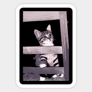 the little cat Sticker